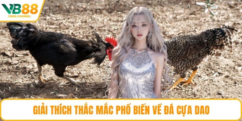 Giải thích thắc mắc phổ biến về đá cựa dao