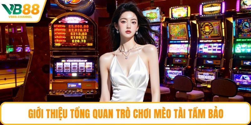 Giới thiệu tổng quan trò chơi Mèo Tài Tầm Bảo