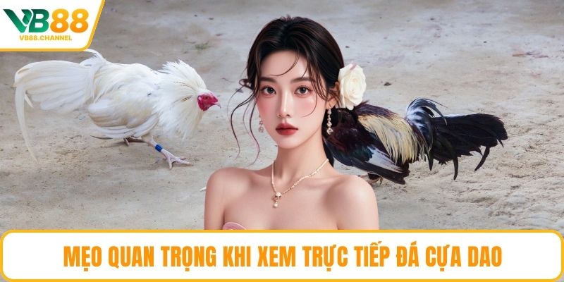 Mẹo quan trọng khi xem trực tiếp đá cựa dao