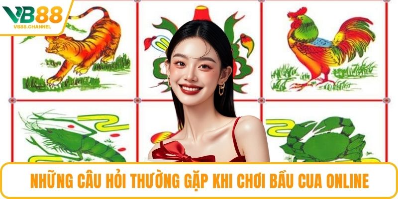Những câu hỏi thường gặp khi chơi Bầu Cua online