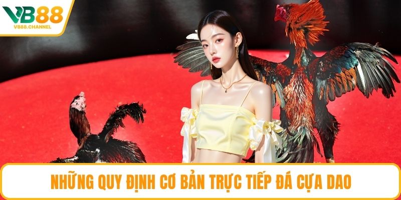 Những quy định cơ bản trực tiếp đá cựa dao